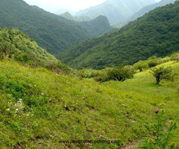 【走遍中國(guó)·景點(diǎn)篇】秦嶺 【走遍中國(guó)·景點(diǎn)篇】秦嶺